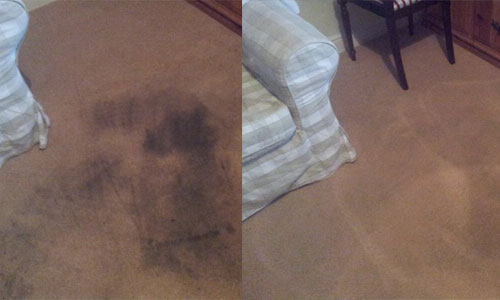 carpet clean skelmorlie 2 carpet cleaner skelmorlie