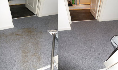 carpet skelmorlie carpet cleaners skelmorlie